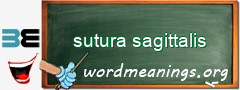 WordMeaning blackboard for sutura sagittalis